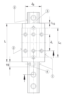 INA滑塊 RWU25-D-H-OE, 直線循環(huán)滾子軸承及導軌組件 RUE25-D 用的高窄系列滑塊,油潤滑