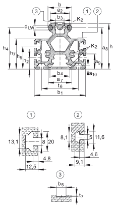 INA導(dǎo)軌 LFS32-M, 中空截面輪廓，帶安裝槽，帶兩根軌道軸；可提供耐腐蝕設(shè)計(jì)