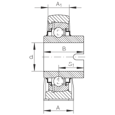 INA直立式軸承座單元 RASEL30-N, 鑄鐵軸承座，浮動(dòng)軸承，內(nèi)圈有驅(qū)動(dòng)槽，R 型密封